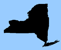 image of NY state