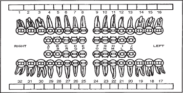 Dental Records