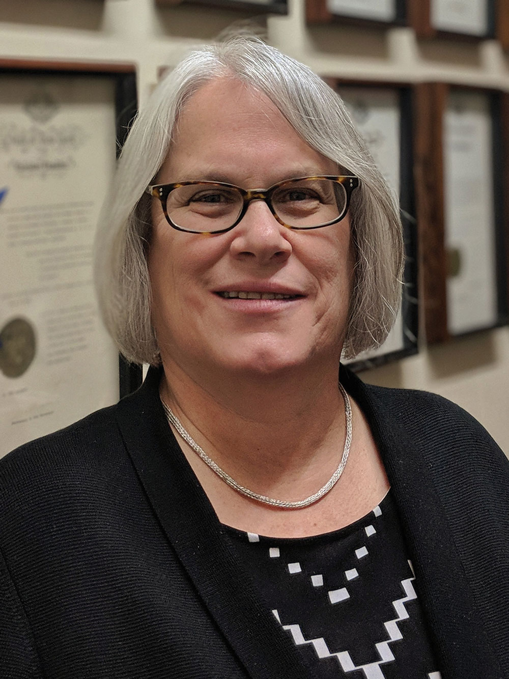 Assemblywoman Helene E. Weinstein