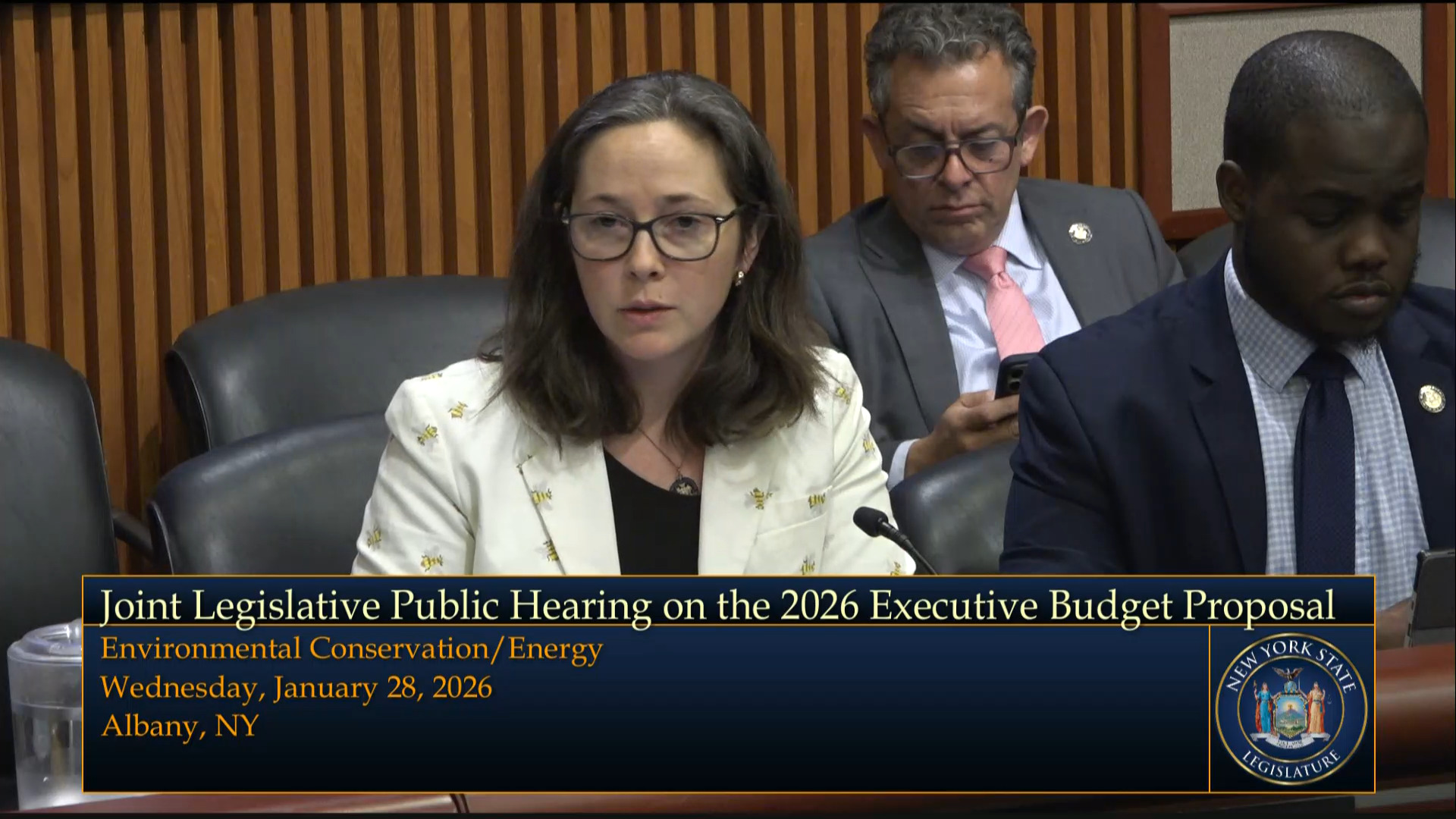 State Energy Officials Testify During Budget Hearing on Environmental Conservation