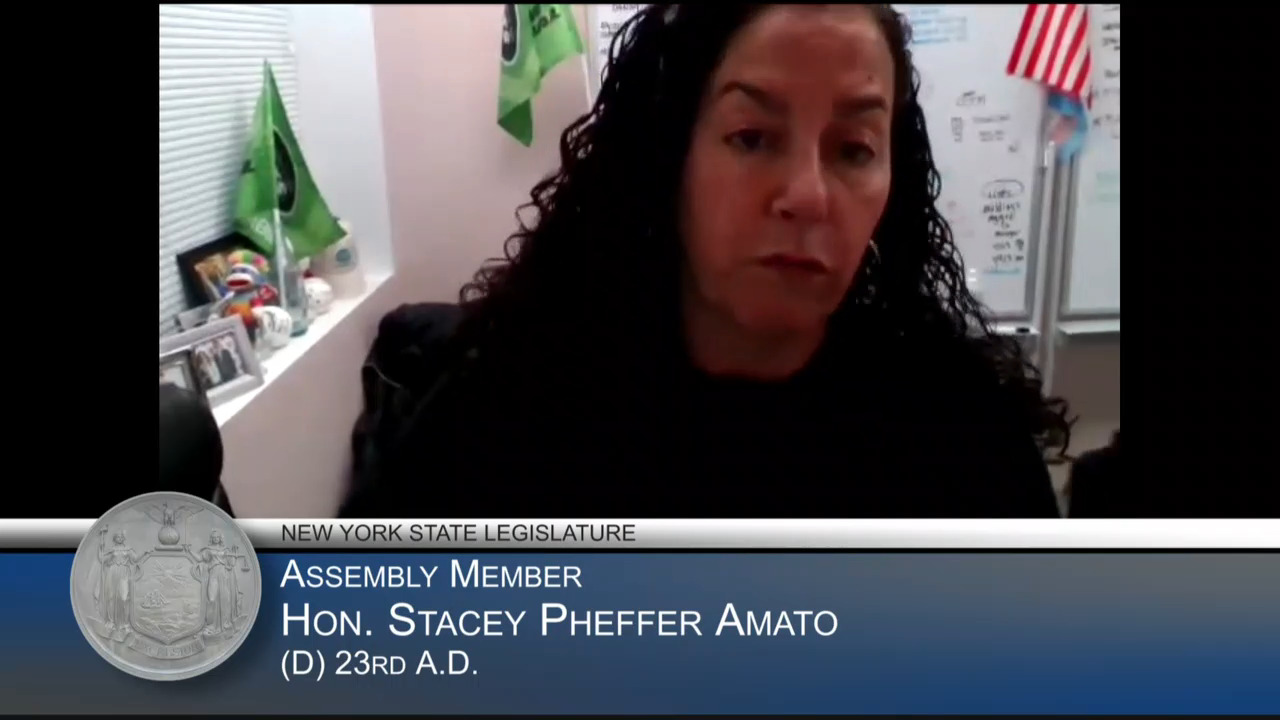 Pheffer-Amato Questions MTA During Budget Hearing on Transportation