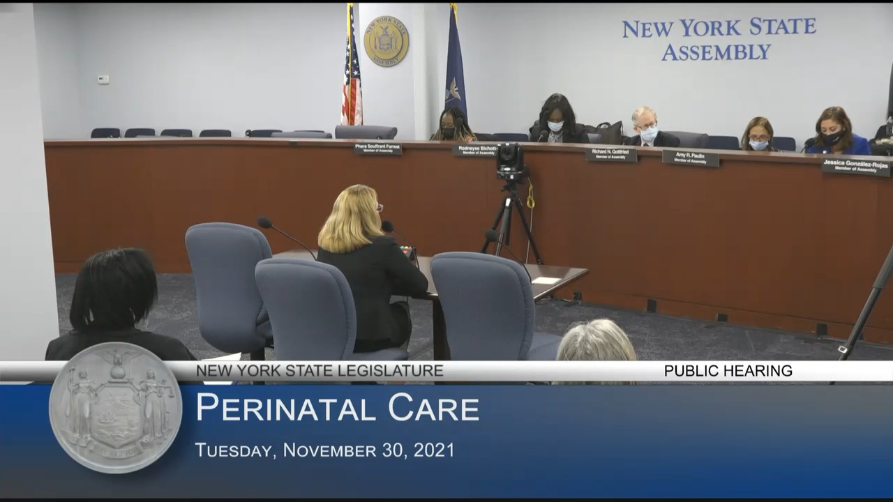 Public Hearing on Perinatal Care