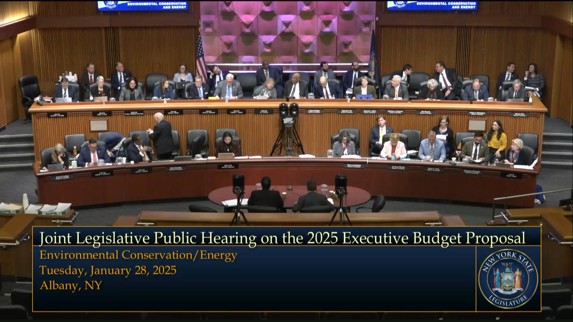 PSC and NYPA CEO's Testify During Budget Hearing on Environmental Conservation and Energy