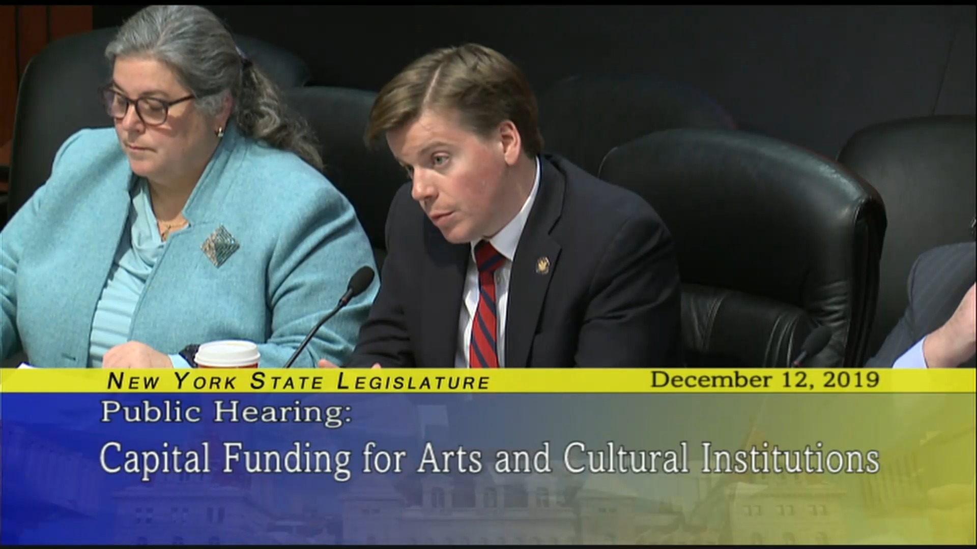 Public Hearing About Capital Funding For The Arts And Cultural Organizations (1)