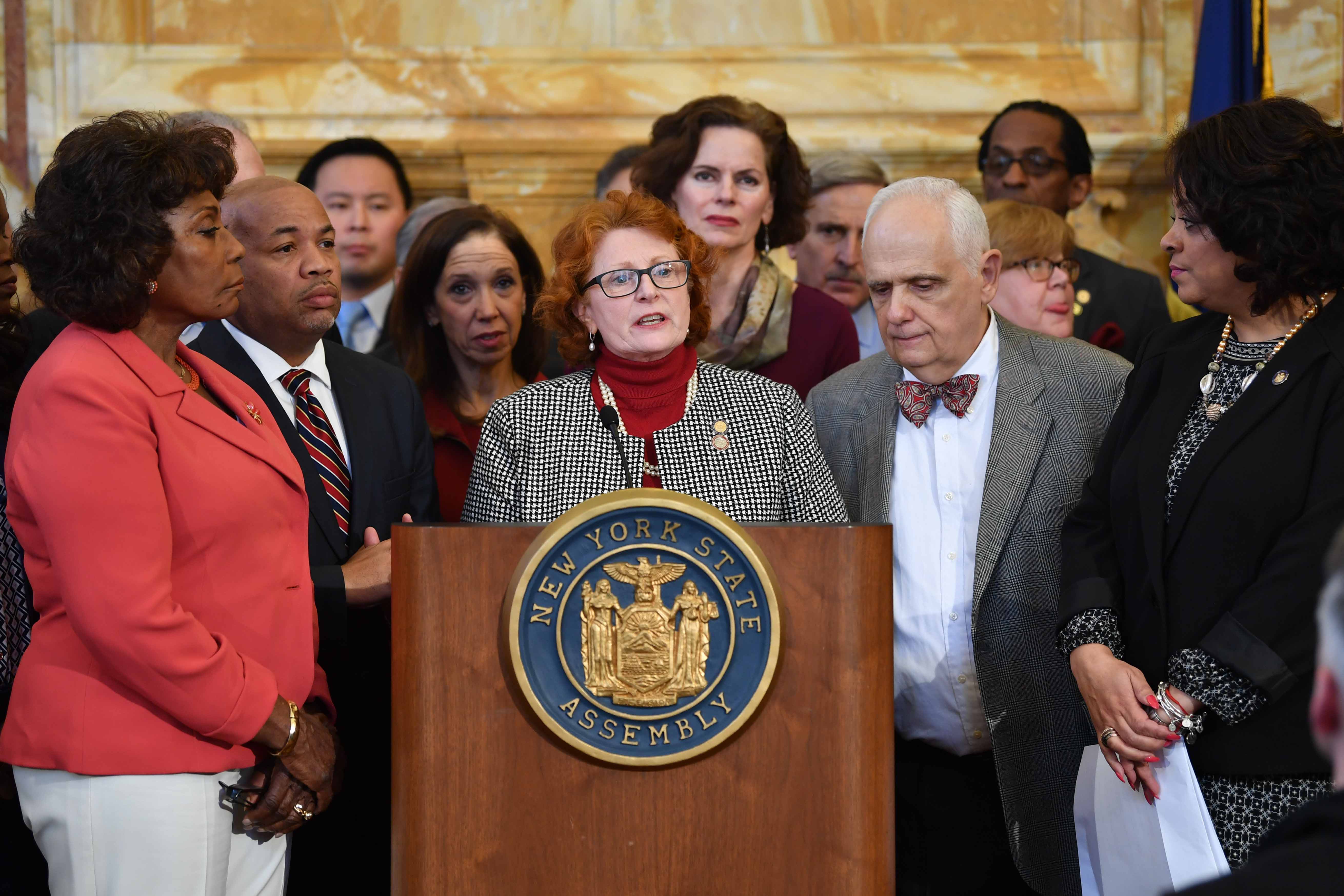 Assemblymember Jo Anne Simon and her colleagues release a package of gun violence prevention bills.