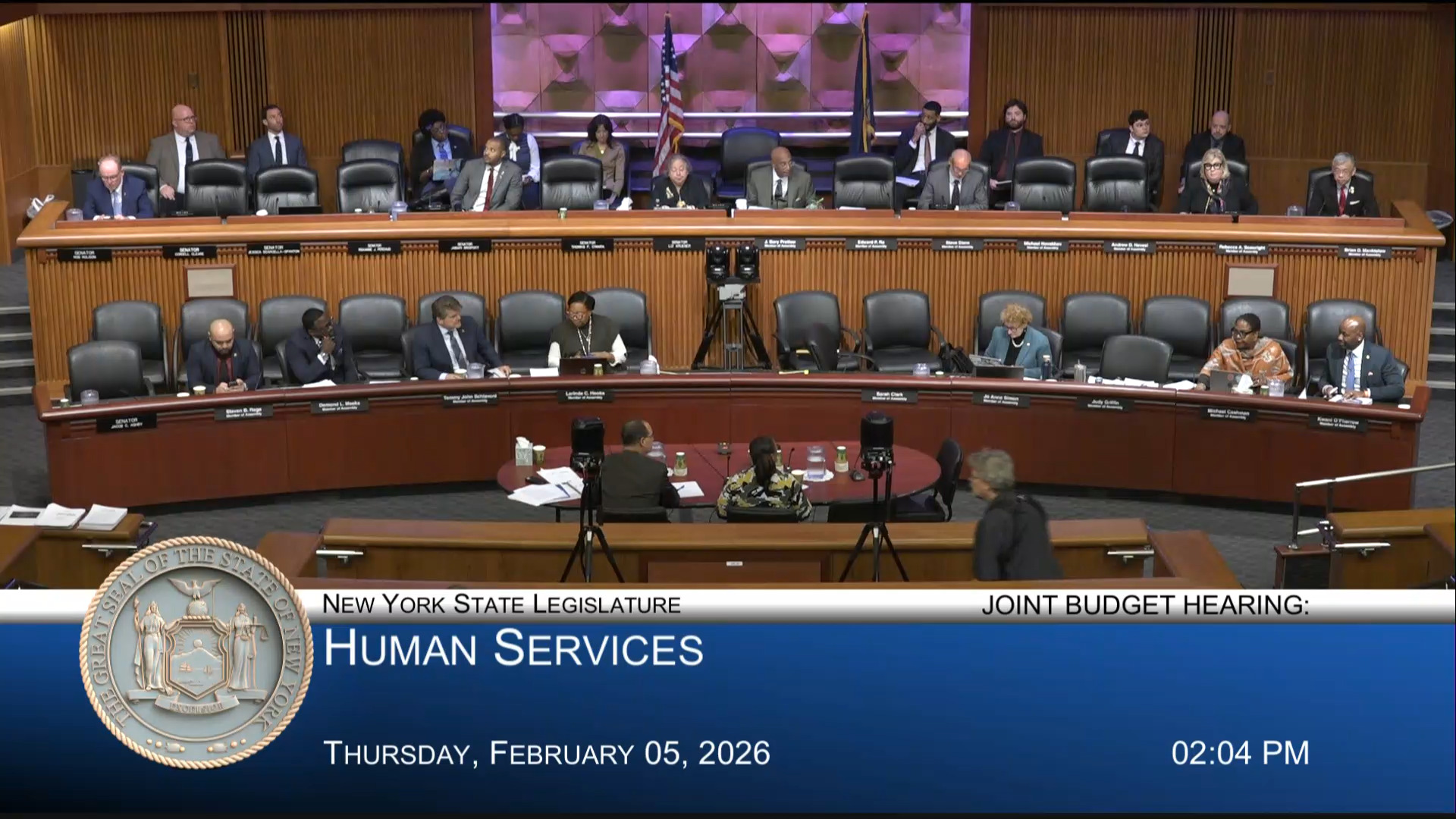 NYS Office of Aging Director Testifies During Joint Budget Hearing on Social Services