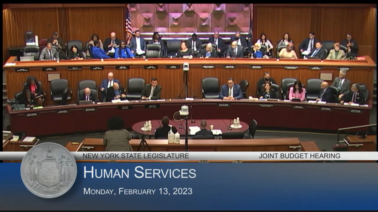 Commissioners Testifies During a Budget Hearing On Human Services