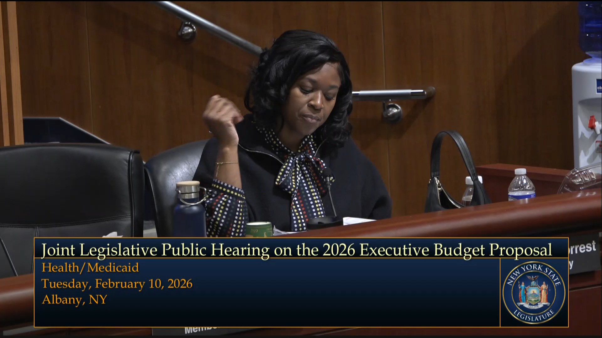 Healthcare Industry Representatives Testify During Budget Hearing on Health and Medicaid