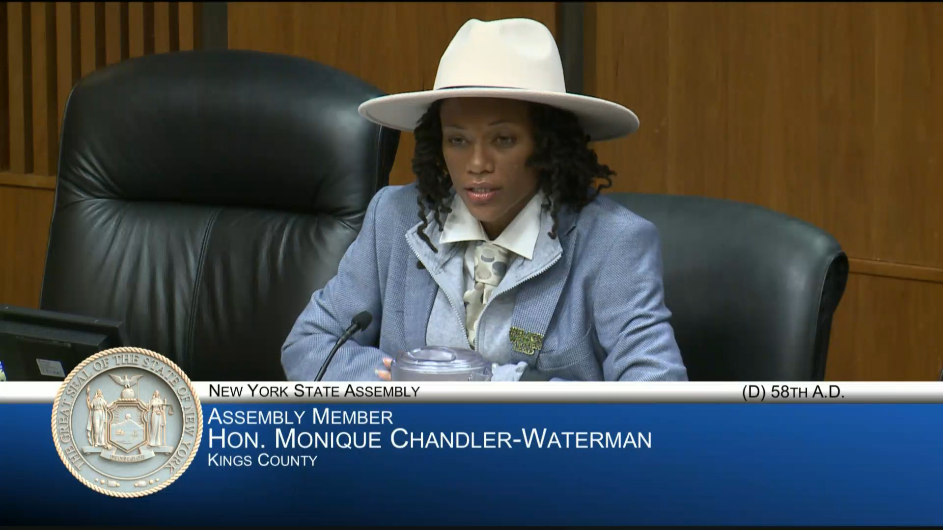 NYS School Boards Association Representative Testifies at Public Hearing on the Causes of Chronic Absenteeism and Low Attendance in NYS Schools