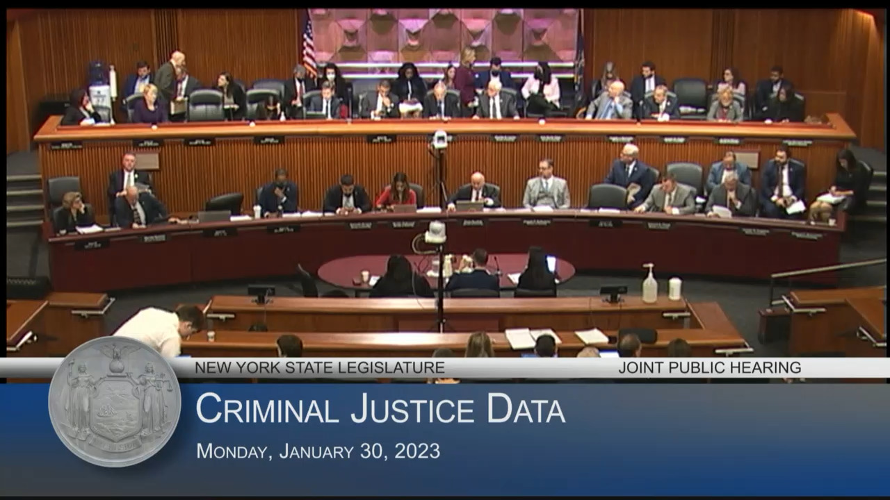 DCJS Commissioners Testify at Public Hearing Examining Crime Data