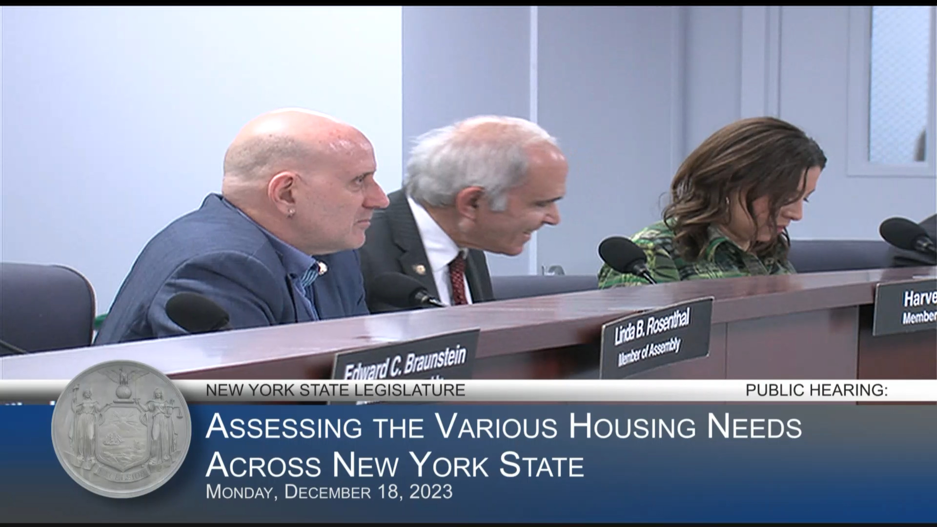 Housing Advocates Testify During a Public Hearing to Assess the Various Housing Needs Across NYS