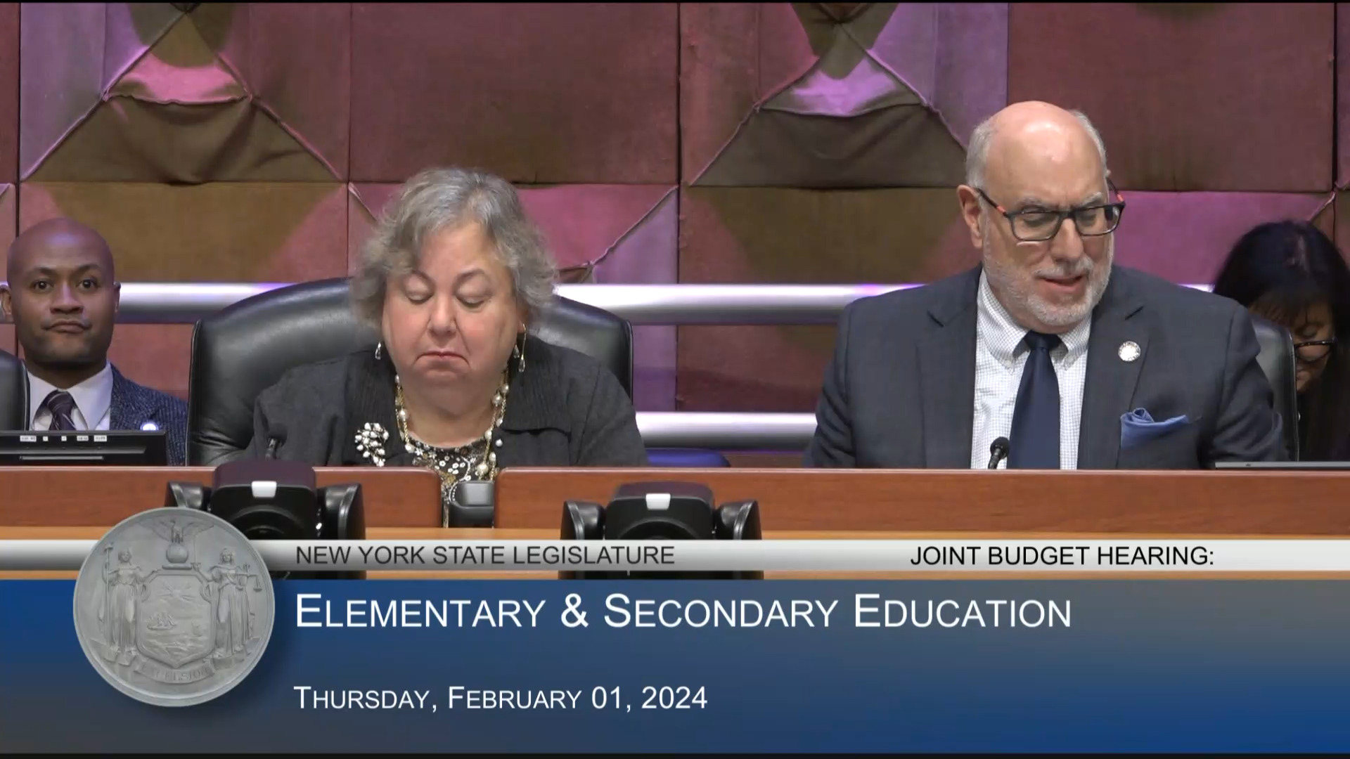 NYC Dept. Of Education Chancellor Testifies During Budget Hearing on Elementary and Secondary Education