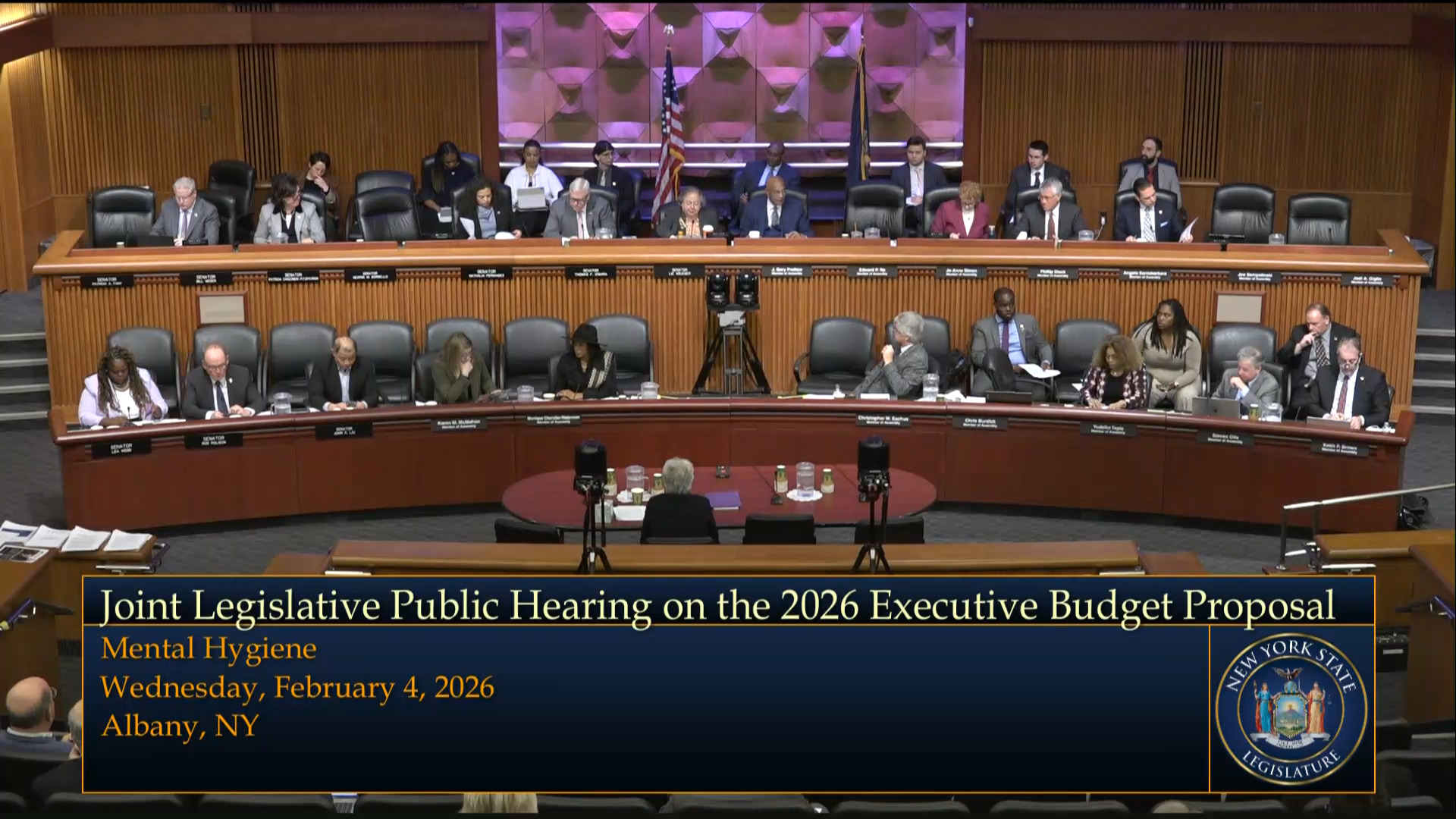 Mental Health Commissioner Testifies during a Joint Budget Hearing on Mental Hygiene