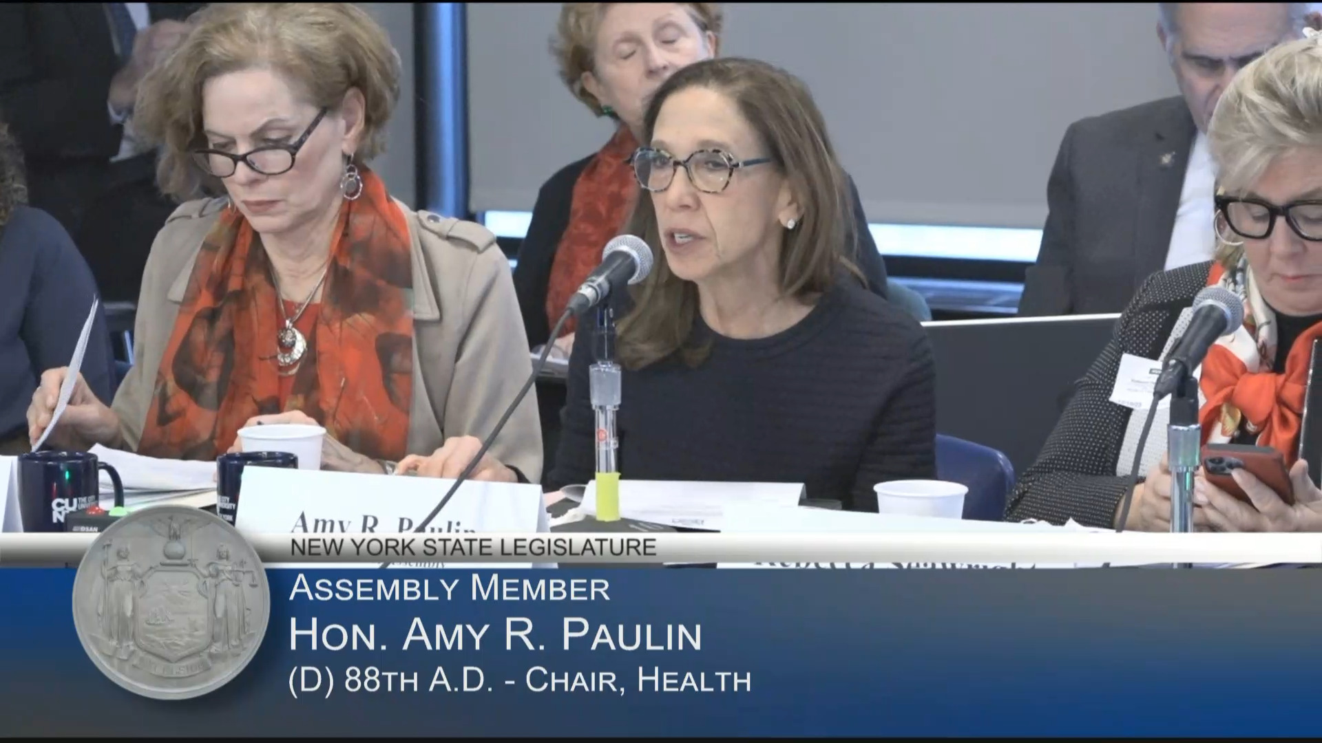 Paulin Co-Chairs Public Hearing on Status of the Health Care Workforce in New York State