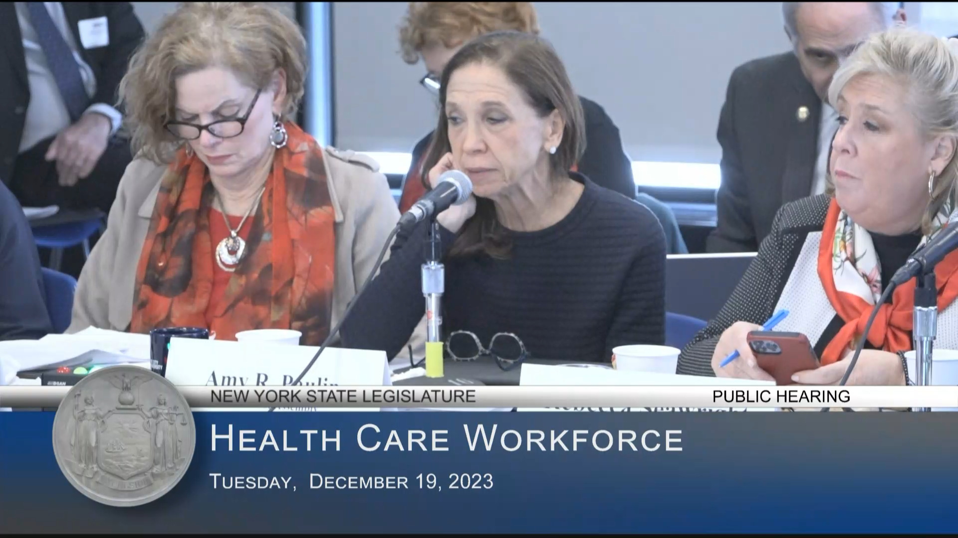 Healthcare Union Members Testify at Public Hearing on Status of the Health Care Workforce in New York State