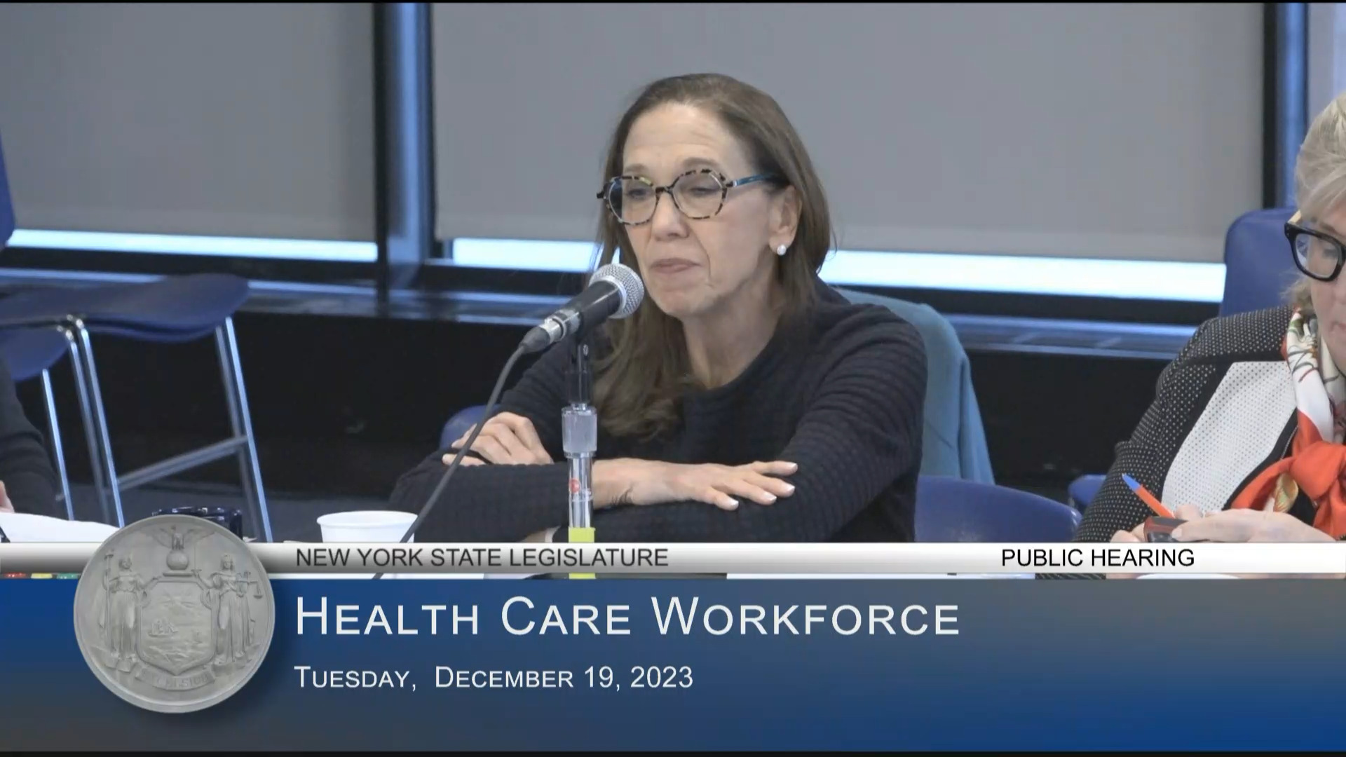 Health and Mental Health Advocates Testify at Public Hearing on the Status of the Health Care Workforce in New York State
