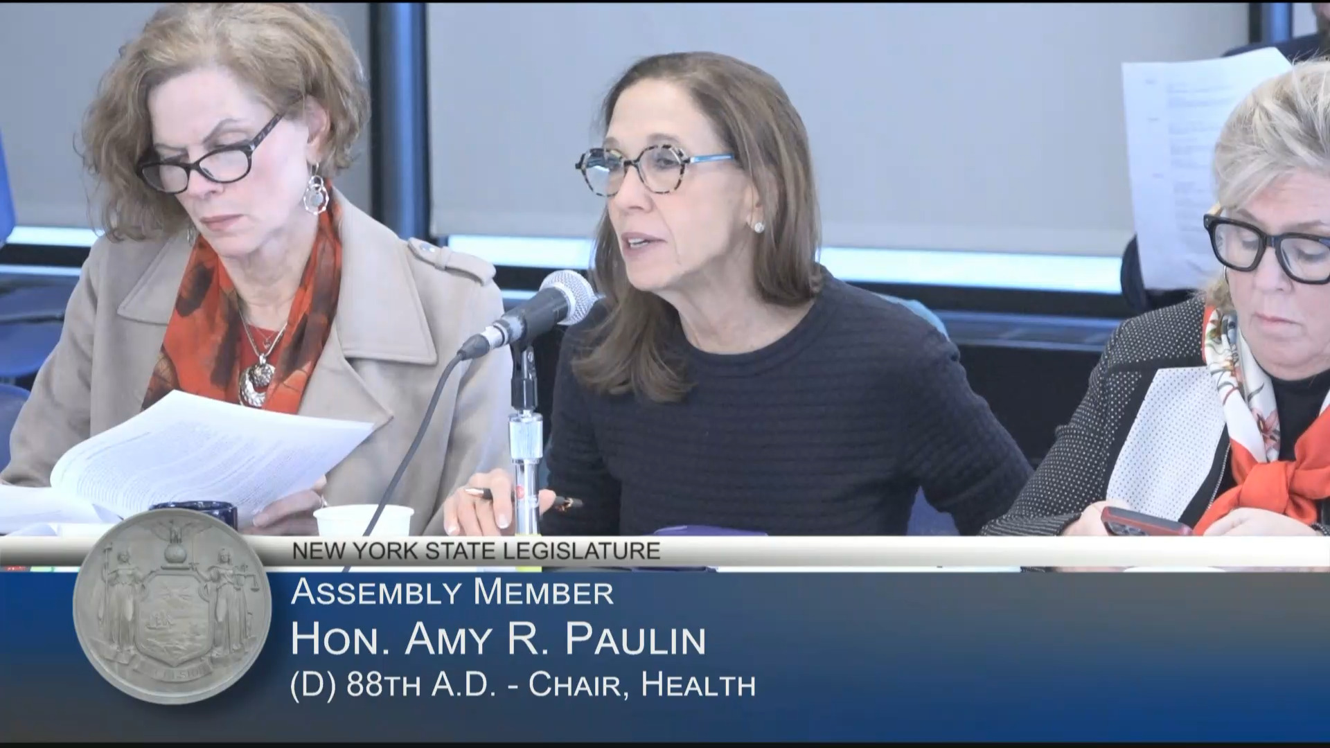 Associated Medical Schools of NY President Testifies at Public Hearing on the Status of the Health Care Workforce in New York State