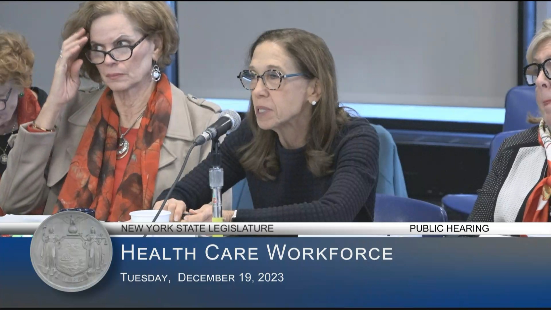 Medical Society of the State of NY President Testifies at Public Hearing on the Status of the Health Care Workforce in New York State