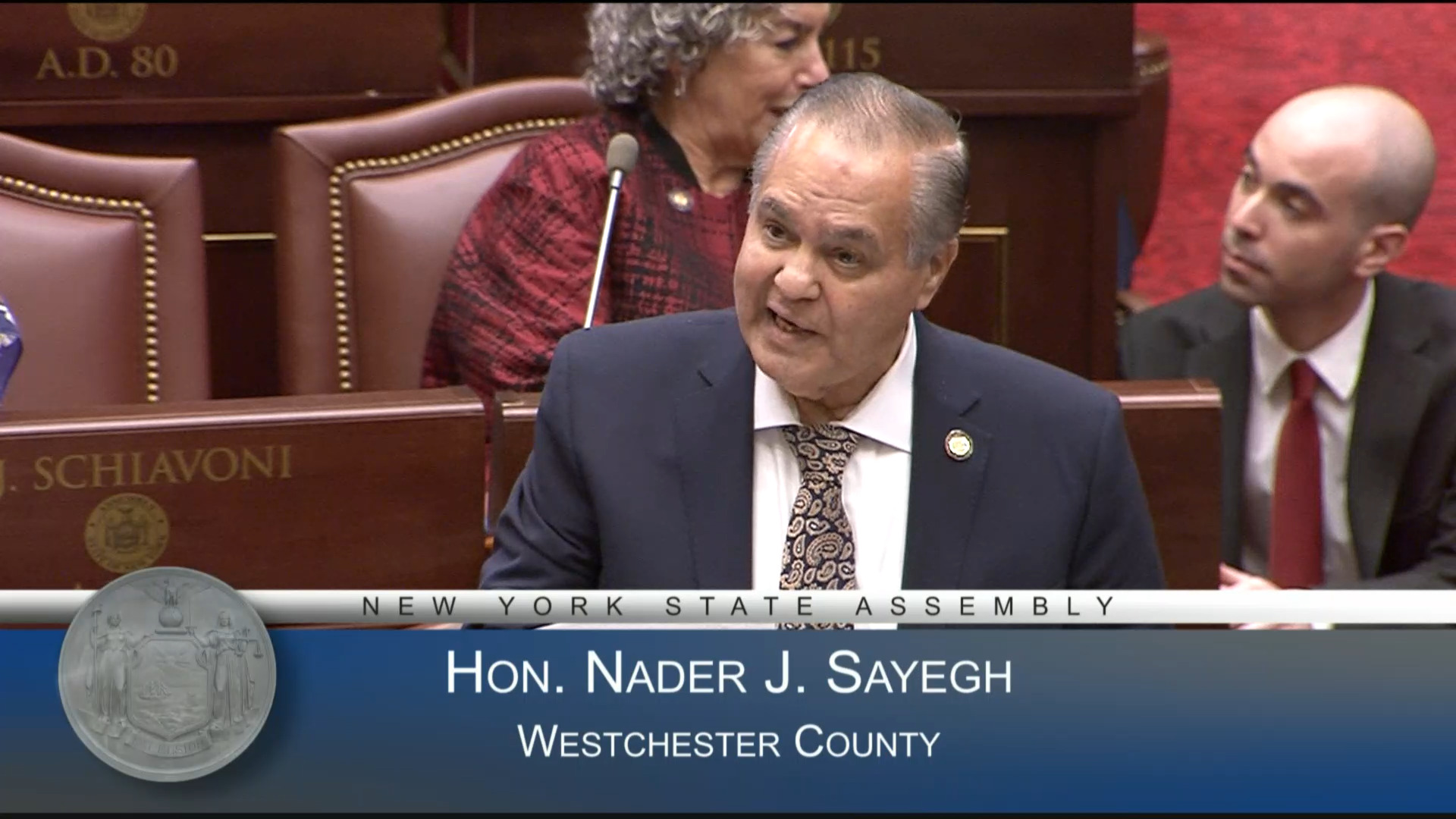 Pakistan-American Heritage Day in NY