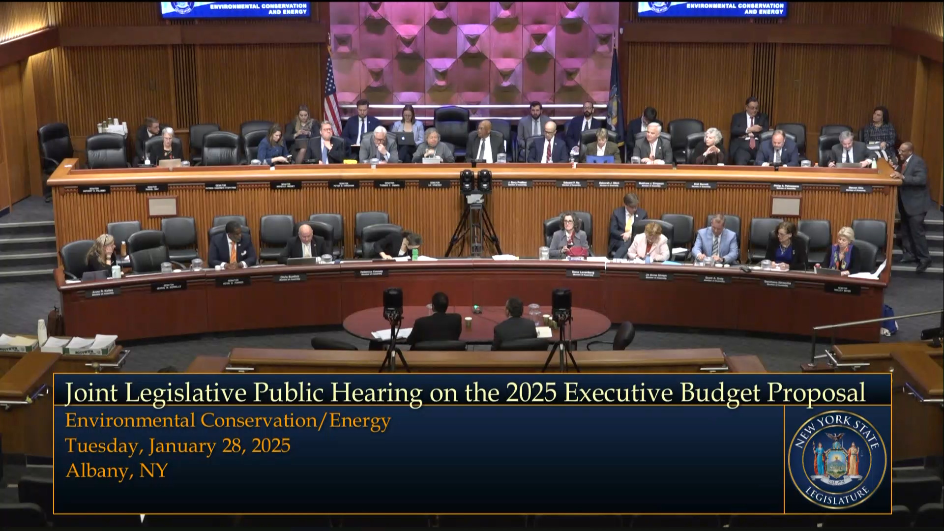 PSC and NYPA CEO's Testify During Budget Hearing on Environmental Conservation and Energy