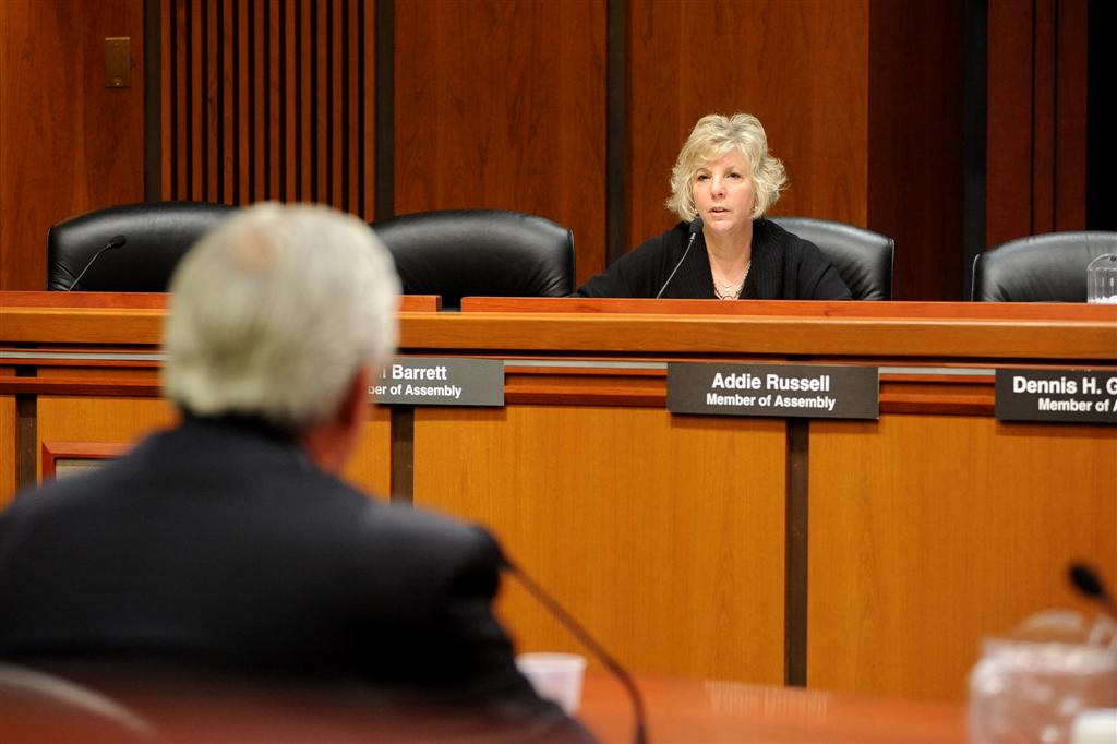 Assemblymember Didi Barrett speaks at an Assembly hearing on how the state promotes New York farm products.