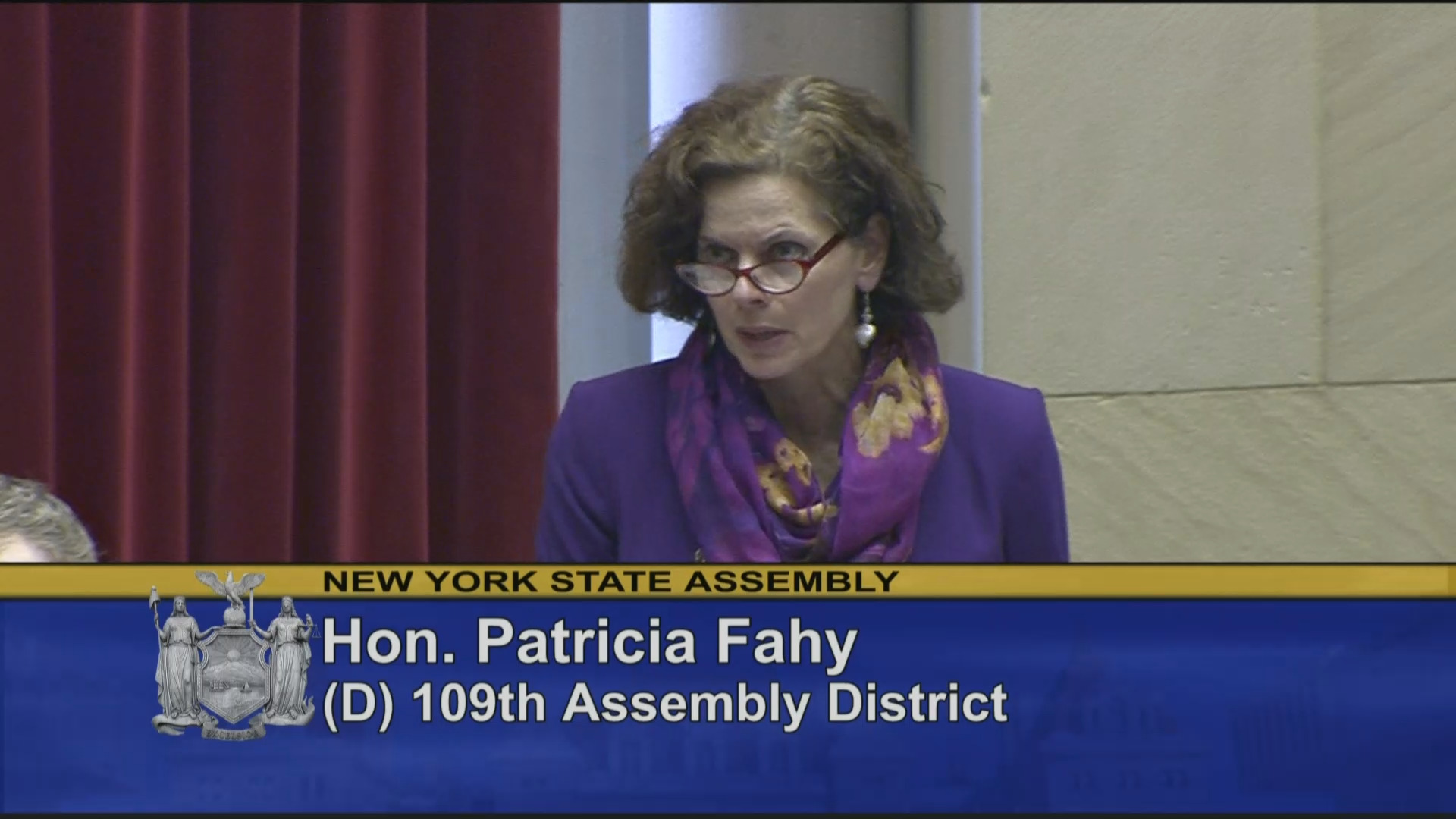Fahy Discusses Vote on Assembly Budget Proposal