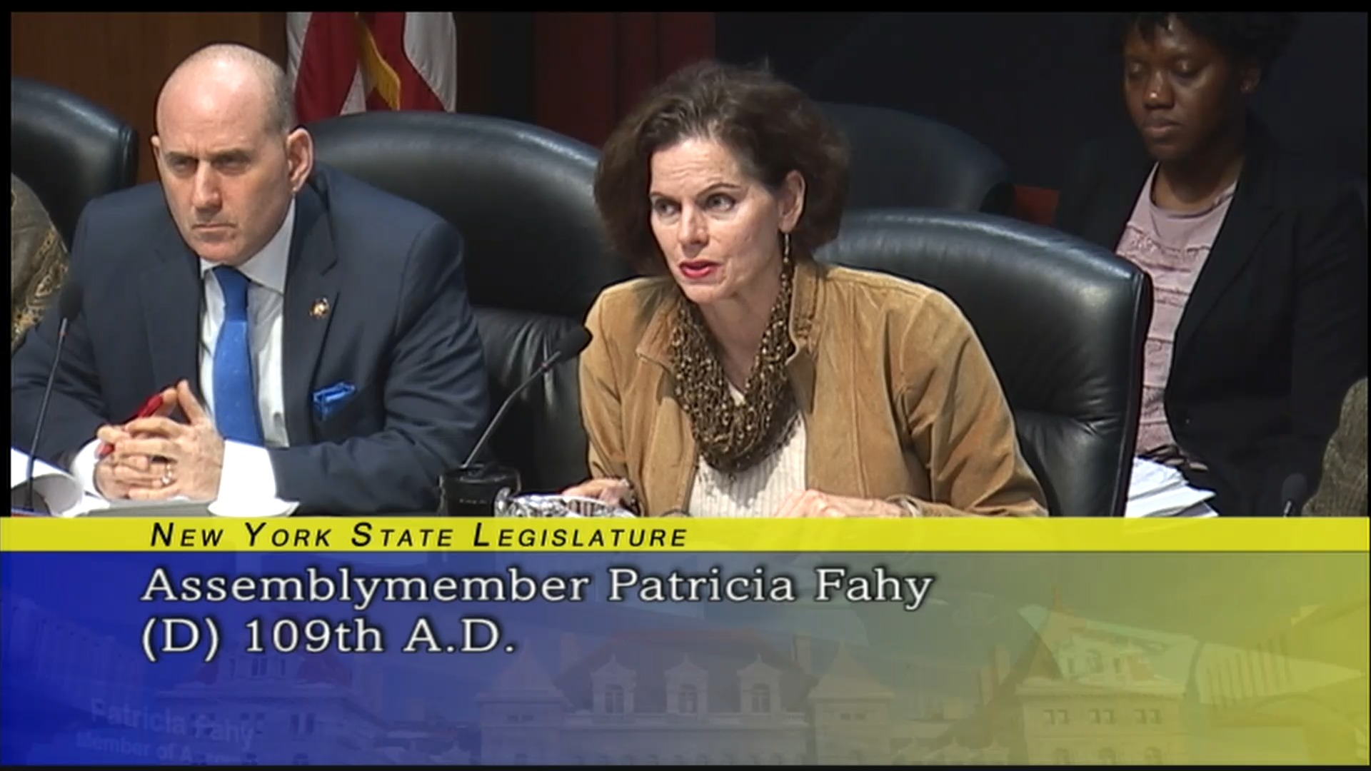 Fahy Discusses Challenges and Improvements in State and City Universities