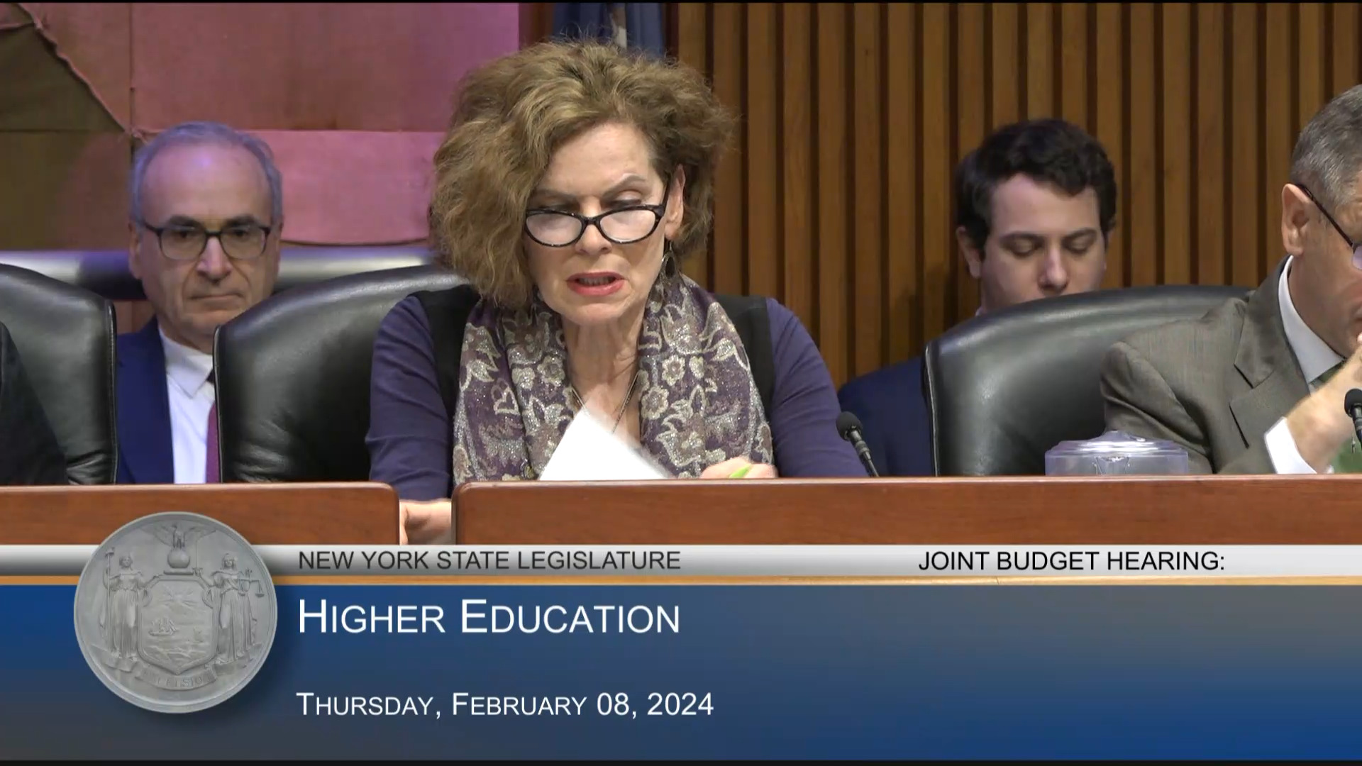 NYS Higher Education Services Corporation President Testifies During Budget Hearing on Higher Education