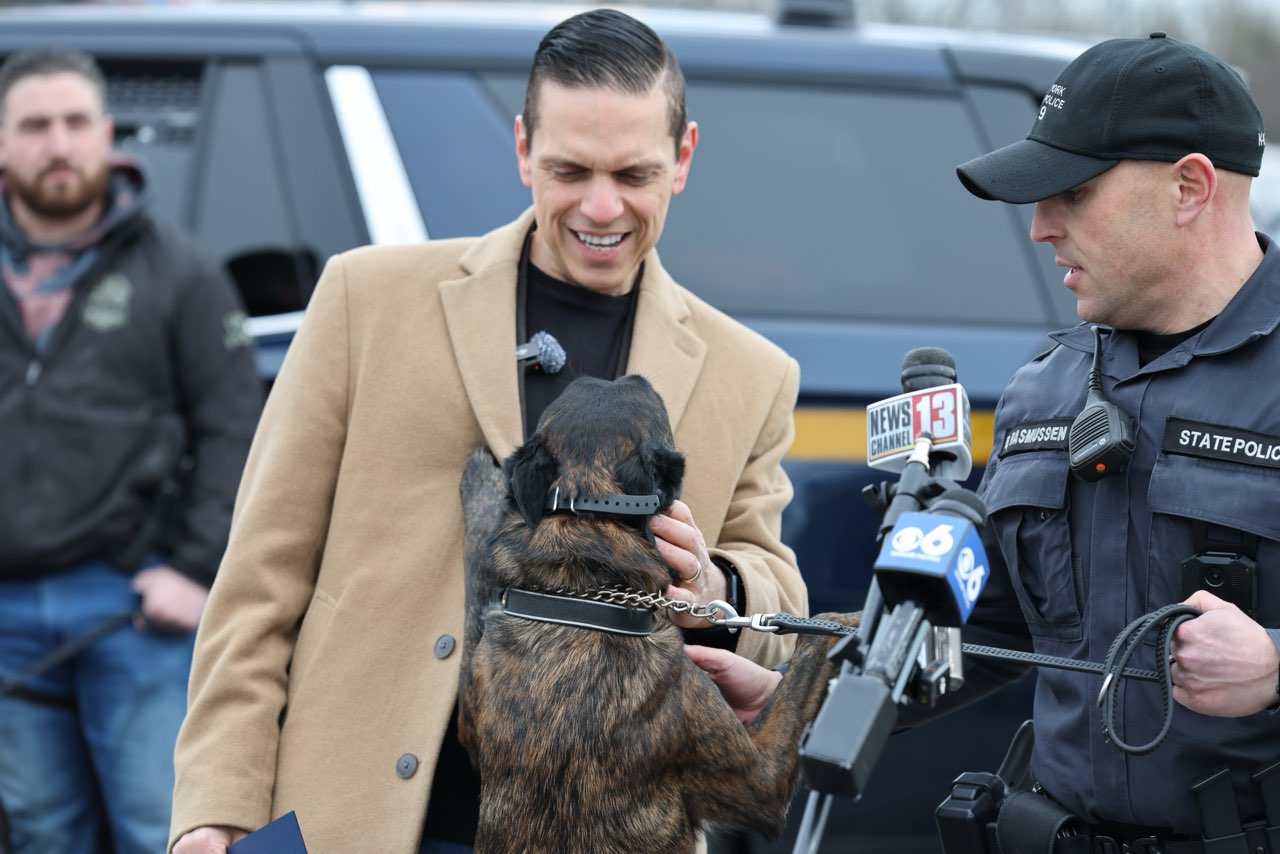 Photo as described in caption