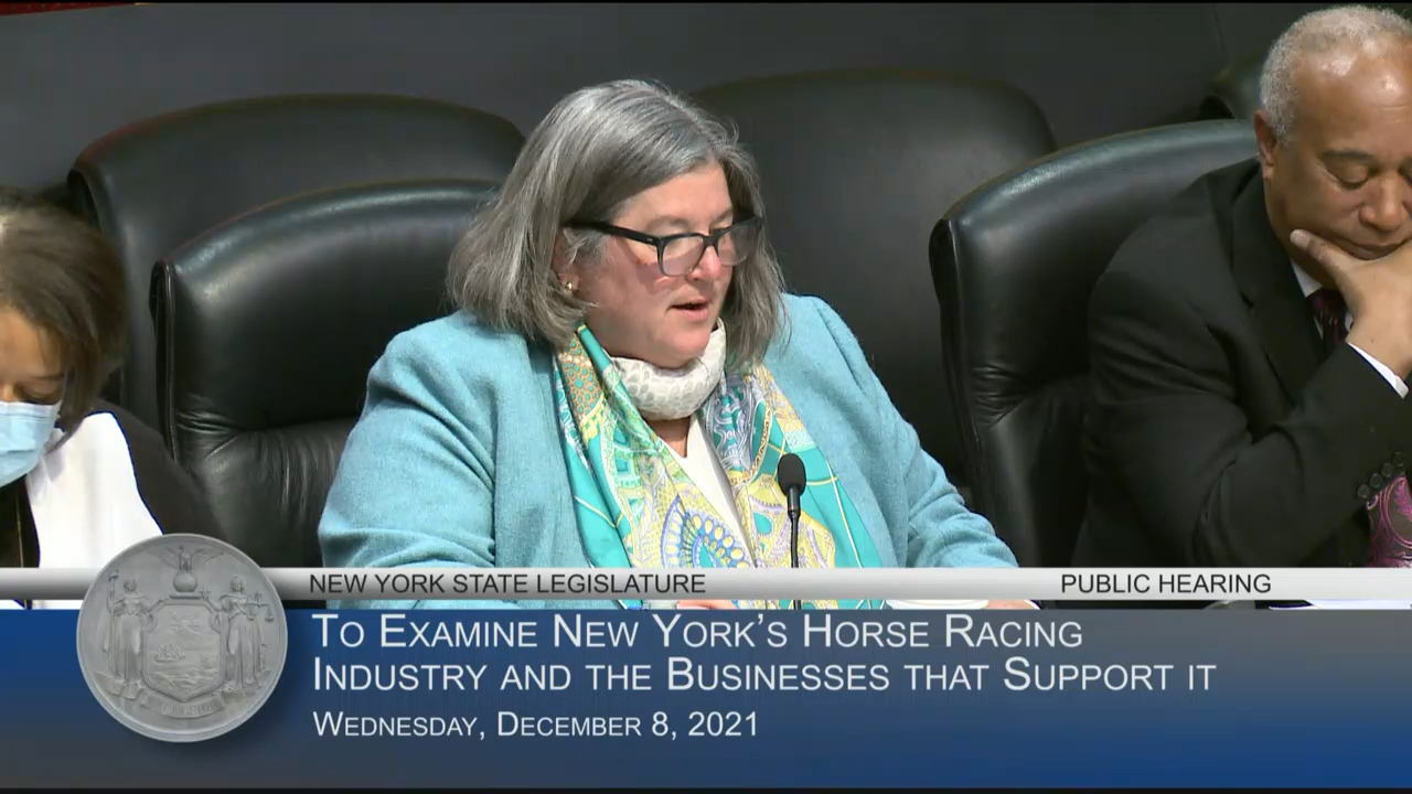 Public Hearing on the Efficiency and Effectiveness of New York’s Horse Racing Industry