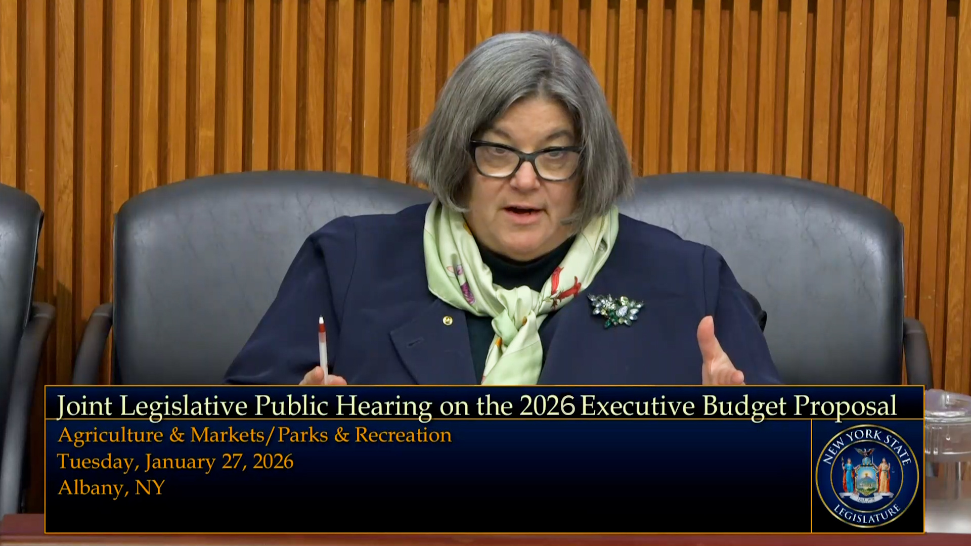 Agriculture & Markets/Parks & Recreation Public Hearing on the 2026 Executive Budget Proposal