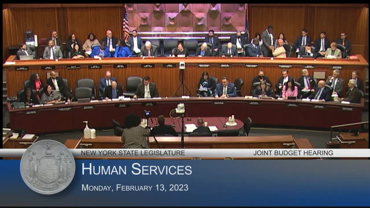 Office of Children and Family Services Commissioner Testifies During a Budget Hearing on Human Services
