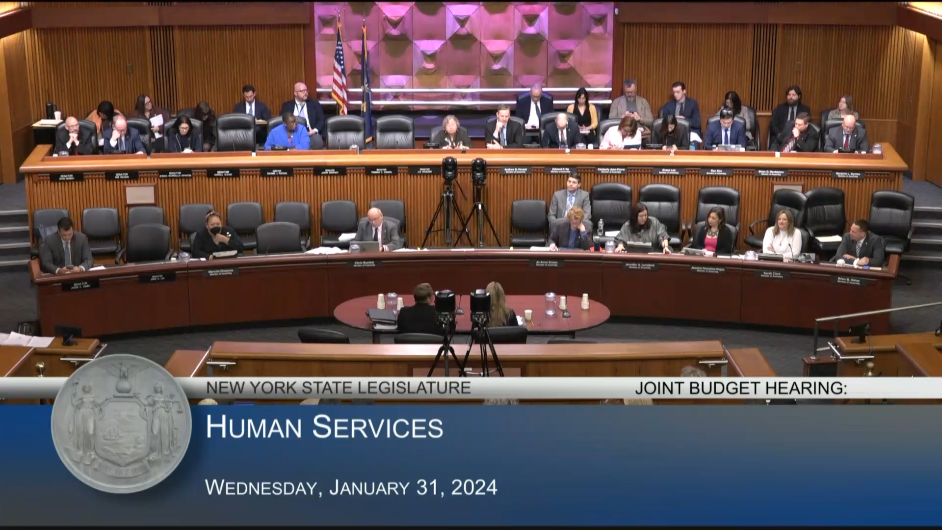 Children and Family Services Acting Commissioner Testifies During Budget Hearing on Human Services