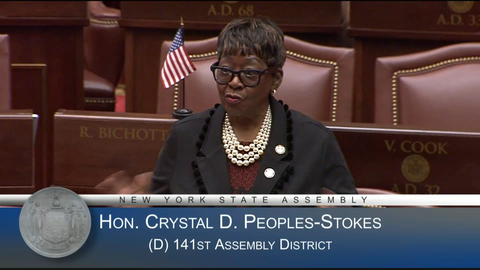 Mother Language Day in NY