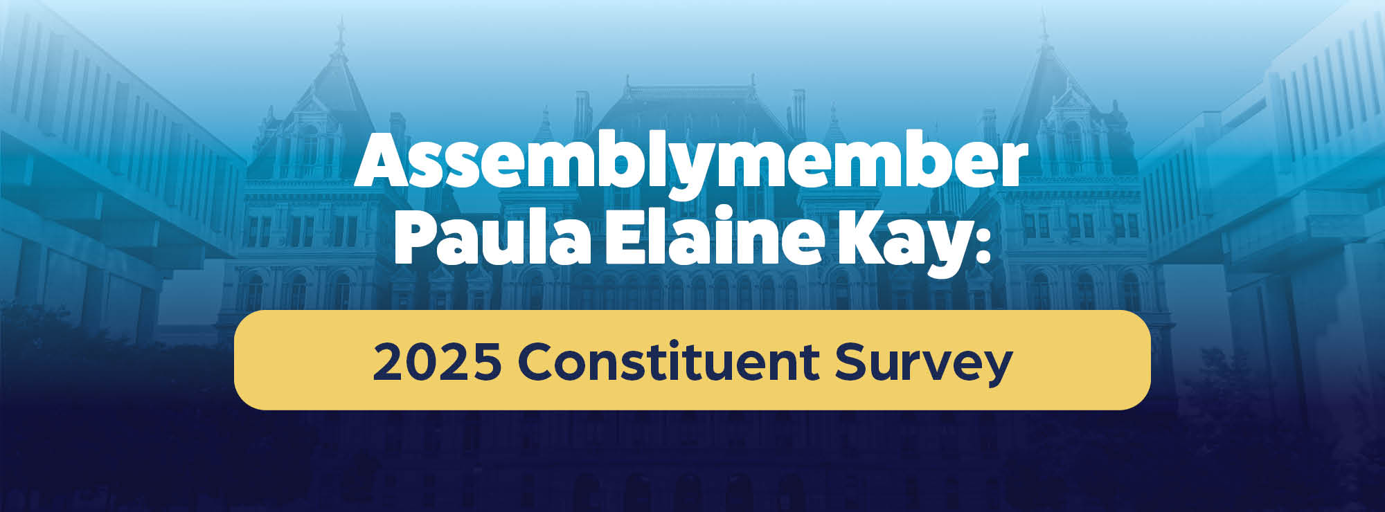 2025 Constituent Survey